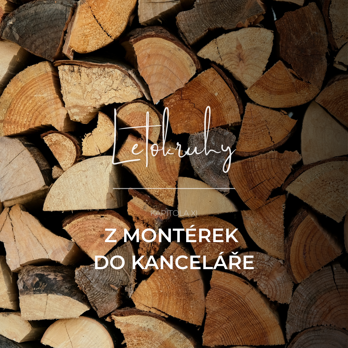 L E T O&nbsp;K&nbsp;R U&nbsp;H Y  Kapitola 11 Z&nbsp;montérek do kanceláře